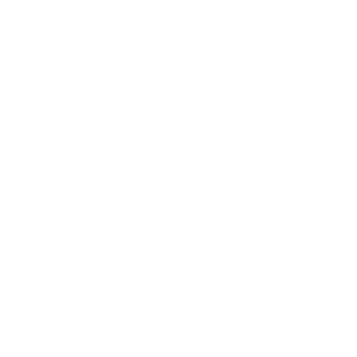 icon-9.png